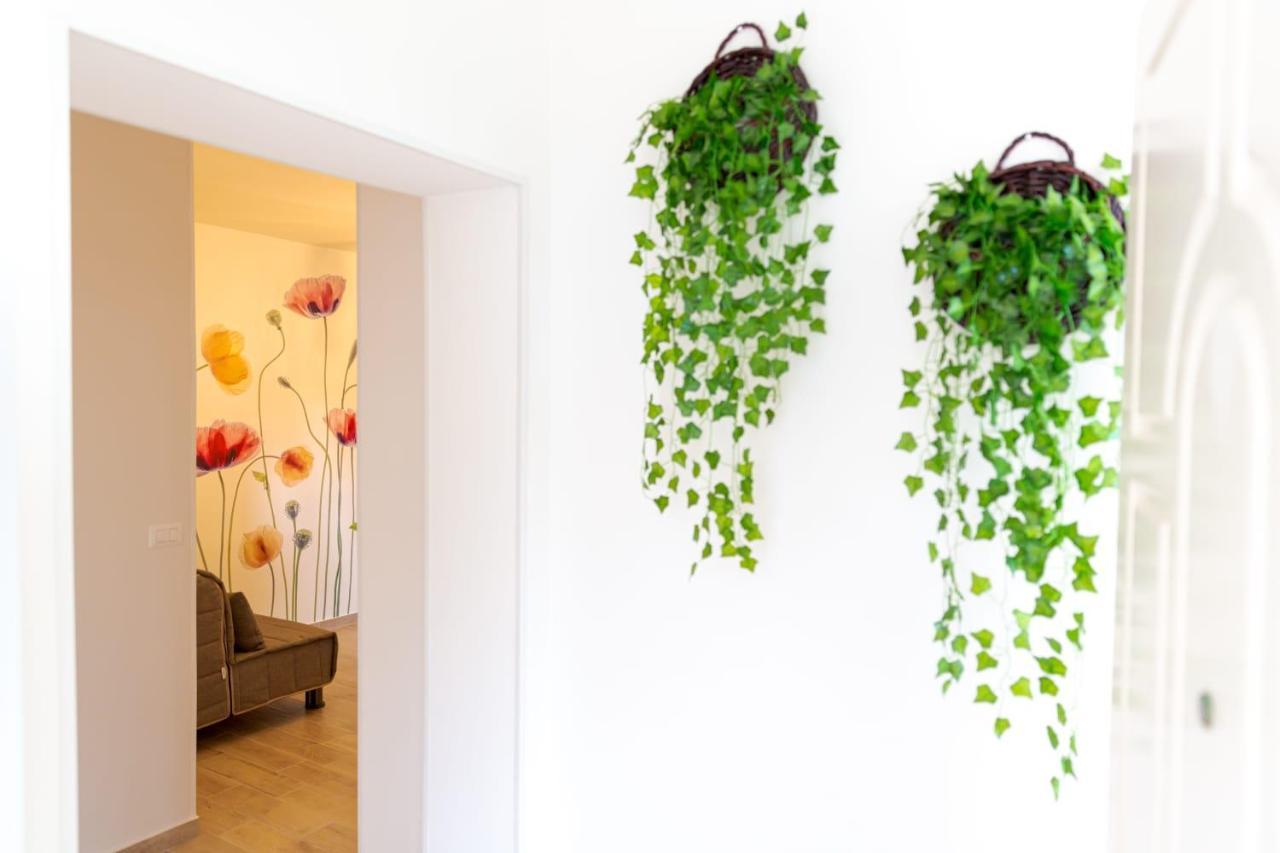 Sea Garden Apartments Ascea Εξωτερικό φωτογραφία